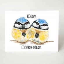 Load image into Gallery viewer, a funny greeting card with two baby blue tit birds, and the words, "hey. nice tits"
