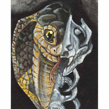 Load image into Gallery viewer, an illustration featuring a cobra, with one half revealing its snake skeleton
