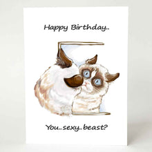 Load image into Gallery viewer, a greeting card featuring an illustration of a very grumpy brown and white cat with blue eyes, looking at its reflection in the mirror. Text reads, "Happy Birthday.. You.. sexy.. beast?"
