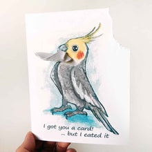 Load image into Gallery viewer, a greeting card with art of a gray and yellow cockatiel. The card reads, "I got you a card! ... but I eated it". be the top right corner of the card is ripped and hangs from the bird's mouth
