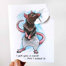 Load image into Gallery viewer, a greeting card, the front illustrated with art of a white and brown pet rat. The card reads, "I got you a card! ... but I eated it". be the top right corner of the card is ripped and hangs from the rat's mouth
