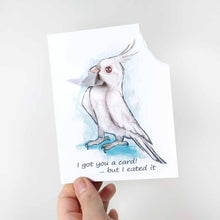 Load image into Gallery viewer, a greeting card with art of a white albino cockatiel. The card reads, "I got you a card! ... but I eated it". be the top right corner of the card is ripped and hangs from the bird's mouth
