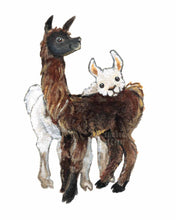 Load image into Gallery viewer, illustration of a brown and black llama, with a white llama behind, resting their head on the brown llama's back
