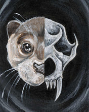 Load image into Gallery viewer, art print featuring a split image with a portrait of an otter's face on the left side and a depiction of an otter skull on the right side.
