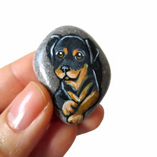 Load image into Gallery viewer, small beach stone, hand painted with art of a rottweiler dog
