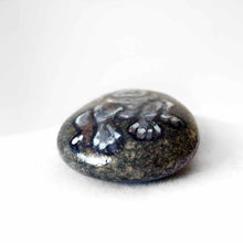Load image into Gallery viewer, a small beach stone hand painted with the portrait of a silver labrador retriever puppy with blue eyes.
