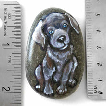 Load image into Gallery viewer, a small beach stone hand painted with the portrait of a silver labrador retriever puppy with blue eyes.
