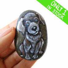 Load image into Gallery viewer, a small beach stone hand painted with the portrait of a silver labrador retriever puppy with blue eyes.
