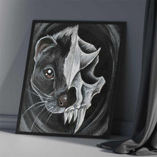 Load image into Gallery viewer, an illustration featuring a split image: the left side, a skunk's face, the right side, its skull
