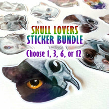 Load image into Gallery viewer, A sticker bundle featuring skull and animal face designs, with a text overlay reading 'SKULL LOVERS STICKER BUNDLE' and 'Choose 1, 3, 6, or 12'. The stickers include illustrated cat, bird, and dog skull faces on a white background.
