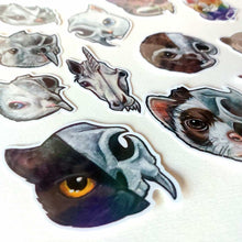 Load image into Gallery viewer, A sticker bundle featuring skull and animal face designs. The stickers include illustrated cat, bird, and dog skull faces on a white background.
