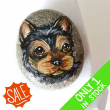 Load image into Gallery viewer, a beach stone, hand painted with the portrait of a black and brown yorkie's face
