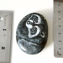 Load image into Gallery viewer, raccoon art, hand painted on a beach stone, next to two rulers to show its size: Measures approximately 2 3/16" x 1 11/16" x 1/2" /// 5.5 cm x 4.3 cm x 1.3 cm
