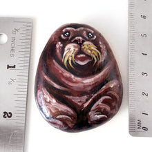 Load image into Gallery viewer, wade the walrus, a hand painted rock art, next to two rulers to show its size: 2 3/16" x 1 3/4" x 9/16" or 5.6 cm x 4.5 cm x 1.5 cm
