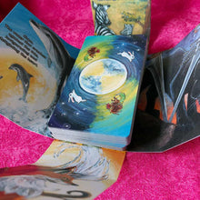 Load image into Gallery viewer, The Animism Tarot BORDERLESS Edition: hook box is opened, showing the deck inside
