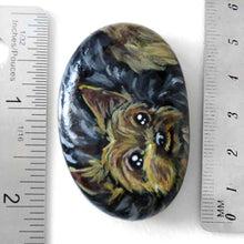 Load image into Gallery viewer, a small beach stone, hand painted with the portrait of a Yorkshire terrier dog, its paws painted on the underside
