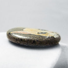 Load image into Gallery viewer, Rock art featuring the face of a flame point siamese cat with orange and white fur and grey blue eyes
