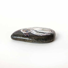 Load image into Gallery viewer, small rock art painted with a portrait of a Javanese cat with blue eyes
