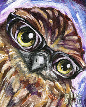 Load image into Gallery viewer, an art print featuring an illustration of a boobook owl, wearing black glasses
