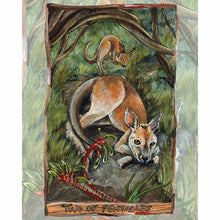Load image into Gallery viewer, This art print features the Two of Pentacles card from the Animism Tarot: a kangaroo rests on the forest floor, as her baby bounces on top of her in joy. Two kangaroo paw flowers grow nearby. 
